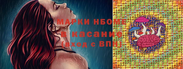 шишки Волоколамск