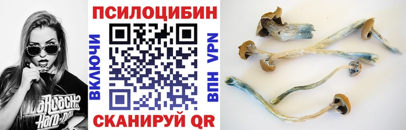 darknet телеграм  закладки  Нестеровская  Псилоцибиновые грибы мухоморы 
